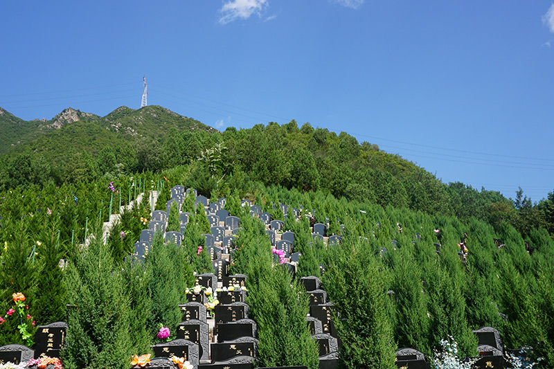 北斗七星在葬礼中有什么说法（哪里嫩买到北斗七星的棺床）